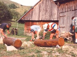 Association &raquo; 1991_0708_la_rochette_jardiniaires